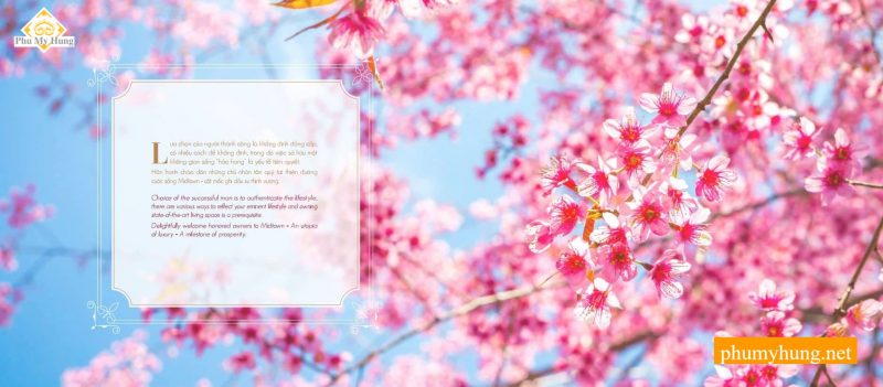 Căn Hộ The Grande Phú Mỹ Hưng Quận 7 | Giá bán, Cho thuê 2026 2 the grrande midtown m5 40 phumyhung.net